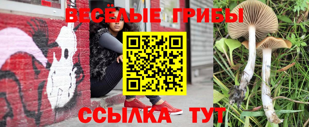 Галлюциногенные грибы мухоморы  Вход с VPN  Тверь  Псилоцибиновые грибы MAGIC MUSHROOMS 